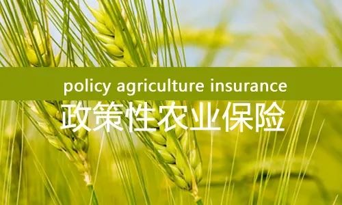 北京市農業農村局-政策性農業保險項目審計服務采購項目中標公告